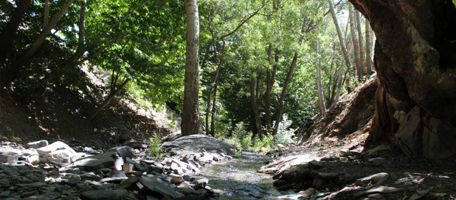 روستای نغندر مشهد