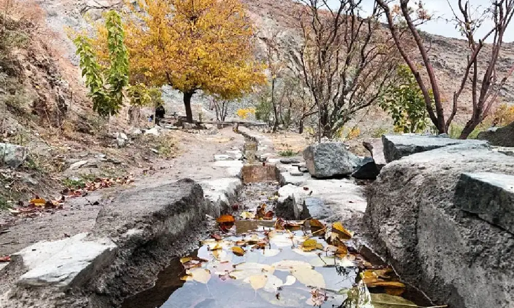 کوه پارک مشهد
