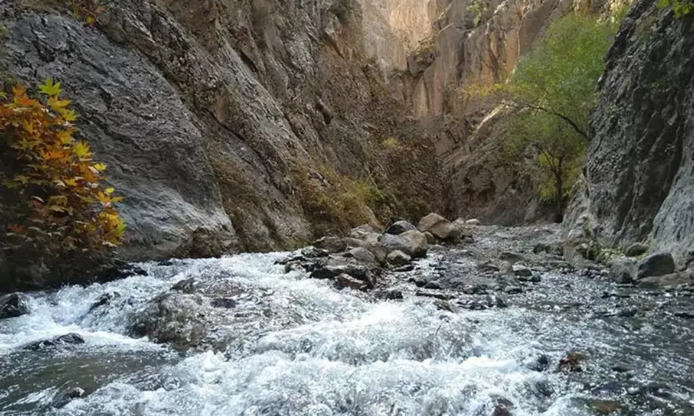 پیشنهاد برنامه سفر یکروزه یا دو‌روزه از مشهد