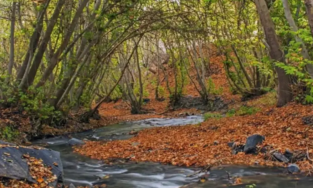  طبیعت‌ گردی و مناطق خوش آب و هوا؛ شاندیز مشهد در پاییز 