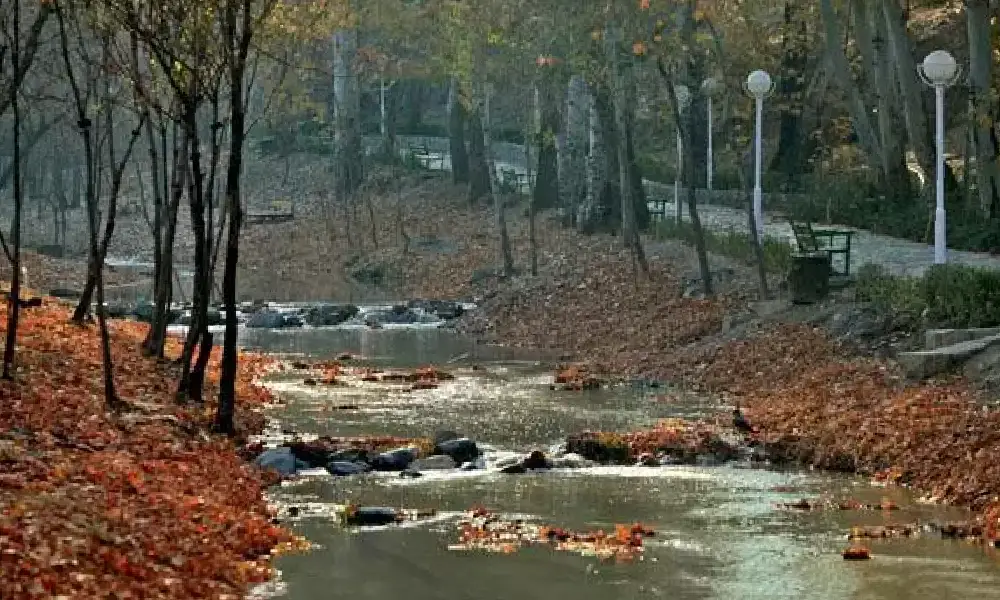 طبیعت دیدنی مشهد در پاییز