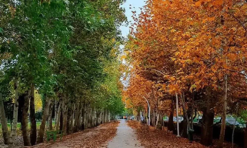 بهترین مکان‌ ها برای پیاده روی و ورزش در مشهد: راهنمای کامل، دسترسی و تجربه