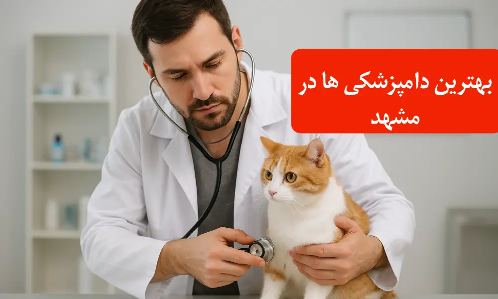 بهترین دامپزشکی ها در مشهد | معتبرترین کلینیک ها و بیمارستان ها