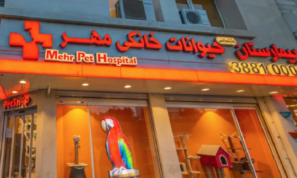 ۲. بیمارستان دامپزشکی مهر (شبانه روزی)