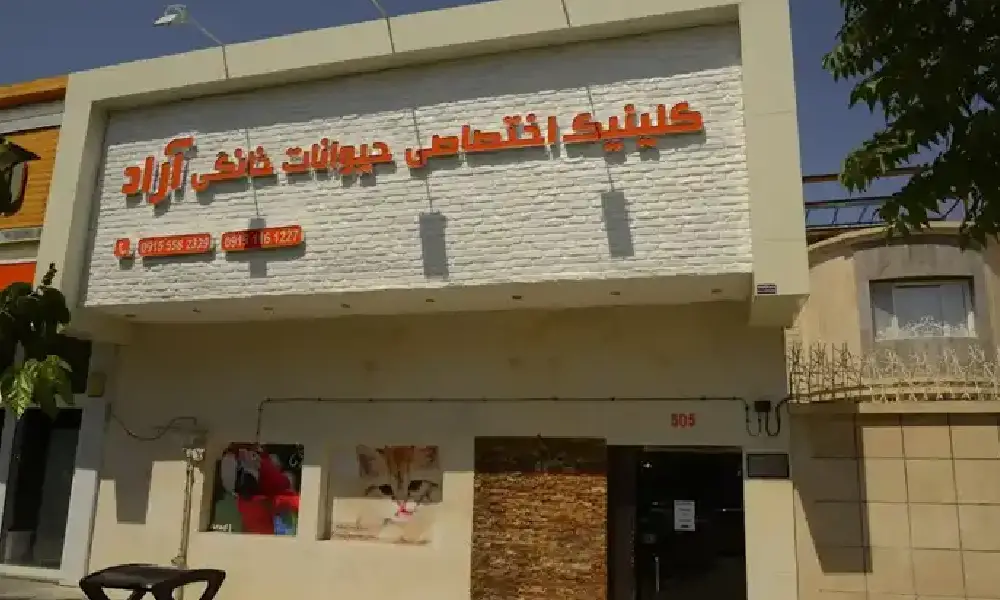 بر اساس اطلاعات به‌روز از منابع معتبر (مانند سایت رسمی کلینیک و نقشه‌های آنلاین)، جزئیات کلینیک دامپزشکی آراد به شرح زیر است. این کلینیک با مدیریت دکتر ایمان امیران، خدمات کاملی برای حیوانات خانگی، پرندگان زینتی، جوندگان و حیوانات اگزوتیک ارائه می‌دهد، از جمله آزمایشگاه فعال، رادیولوژی حرفه‌ای، جراحی (معمولی و ارتوپدی)، آرایش و شستشو، و آمبولانس دامپزشکی برای اورژانس.

آدرس: مشهد، بلوار وکیل‌آباد، بین وکیل‌آباد ۲۳ و ۲۵، پلاک ۵۰۵ (جنب بانک آینده). کدپستی: ۹۱۸۸۸۳۸۹۱۴.
شماره تلفن: ۰۵۱-۳۶۰۱۷۵۲۵ (داخلی کلینیک) | موبایل مدیریت: ۰۹۱۵-۱۱۶۱۲۲۷.
ساعات کاری: شنبه تا پنجشنبه: ۱۰:۰۰ تا ۲۳:۰۰ | جمعه: ۱۸:۰۰ تا ۲۲:۰۰. (در موارد اورژانسی، امکان تماس برای اعزام آمبولانس وجود دارد؛ ساعات ممکن است بر اساس تعطیلات تغییر کند، پس تماس بگیرید.)