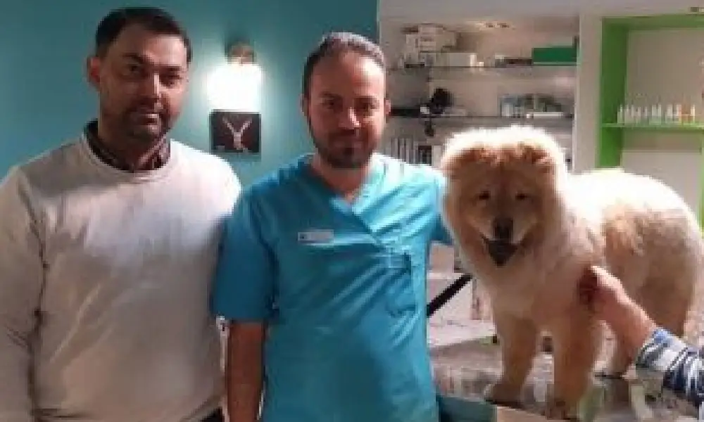  دامپزشکی درطبرسی مشهد  – گزینه مناسب با دسترسی سریع