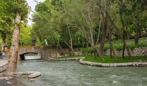 محافظت از محیط زیست