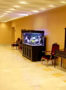 راهرو های هتل آبان