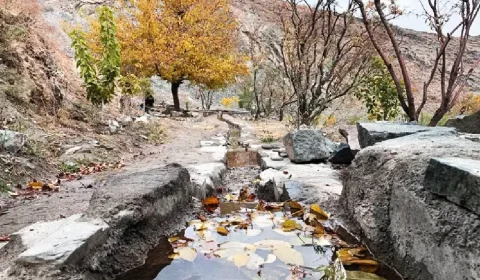کوه پارک مشهد