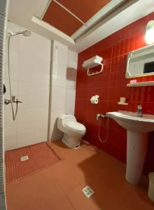 سرویس بهداشتی هتل آپادانا