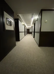 راهرو های هتل آپادانا