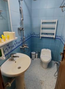 سرویس بهداشتی هتل سی و سه پل مشهد