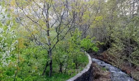 روستای نغندر مشهد