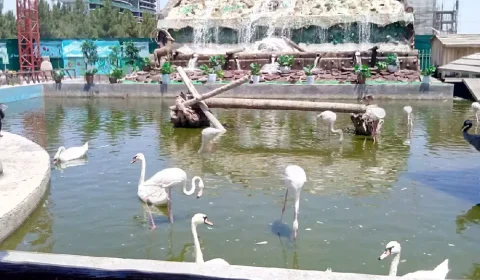 باغ پرندگان مشهد