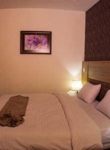 pod-hotel-roomType-66dd853d76f646c397449914