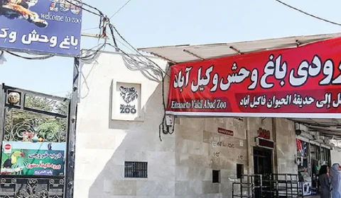 بلیط باغ وحش وکیل آباد مشهد