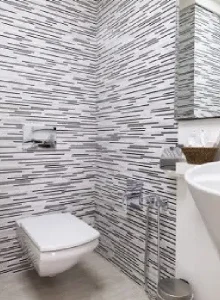 سرویس بهداشتی