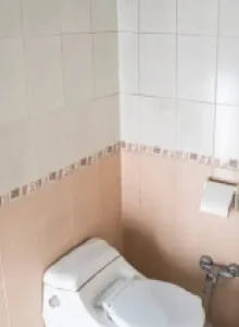 سرویس بهداشتی هتل سفیران