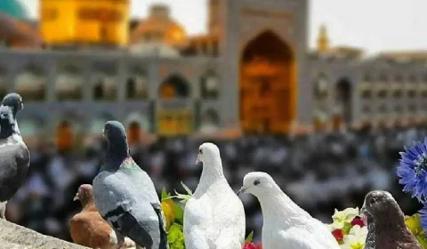 سفر به مشهد برای اولین بار؛ راهنمای کامل اقامت، دیدنی‌ها و هزینه‌ها