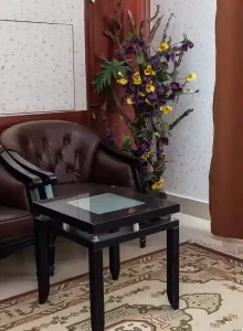 مبلمان و فضای اتاق های هتل هلیا