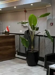 پذیرش هتل نوآوران