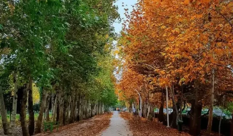 بهترین مکان‌ ها برای پیاده روی و ورزش در مشهد: راهنمای کامل، دسترسی و تجربه